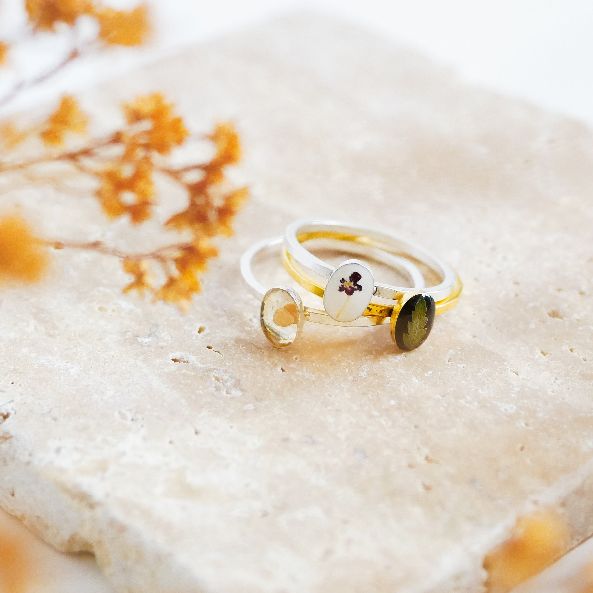 Jewelry Jewelry