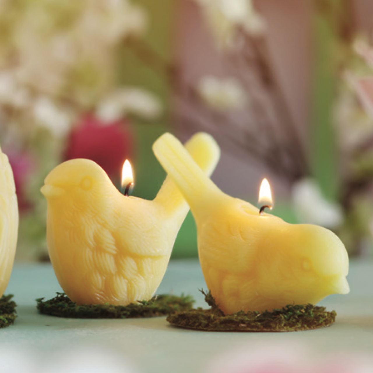 Beeswax Song Birds