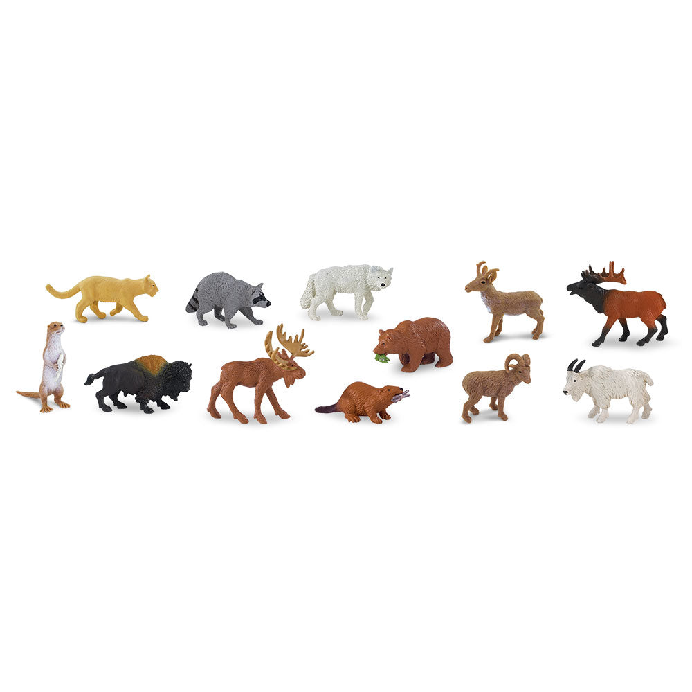 Wildlife Animals