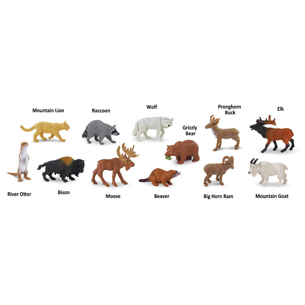 Wildlife Animals