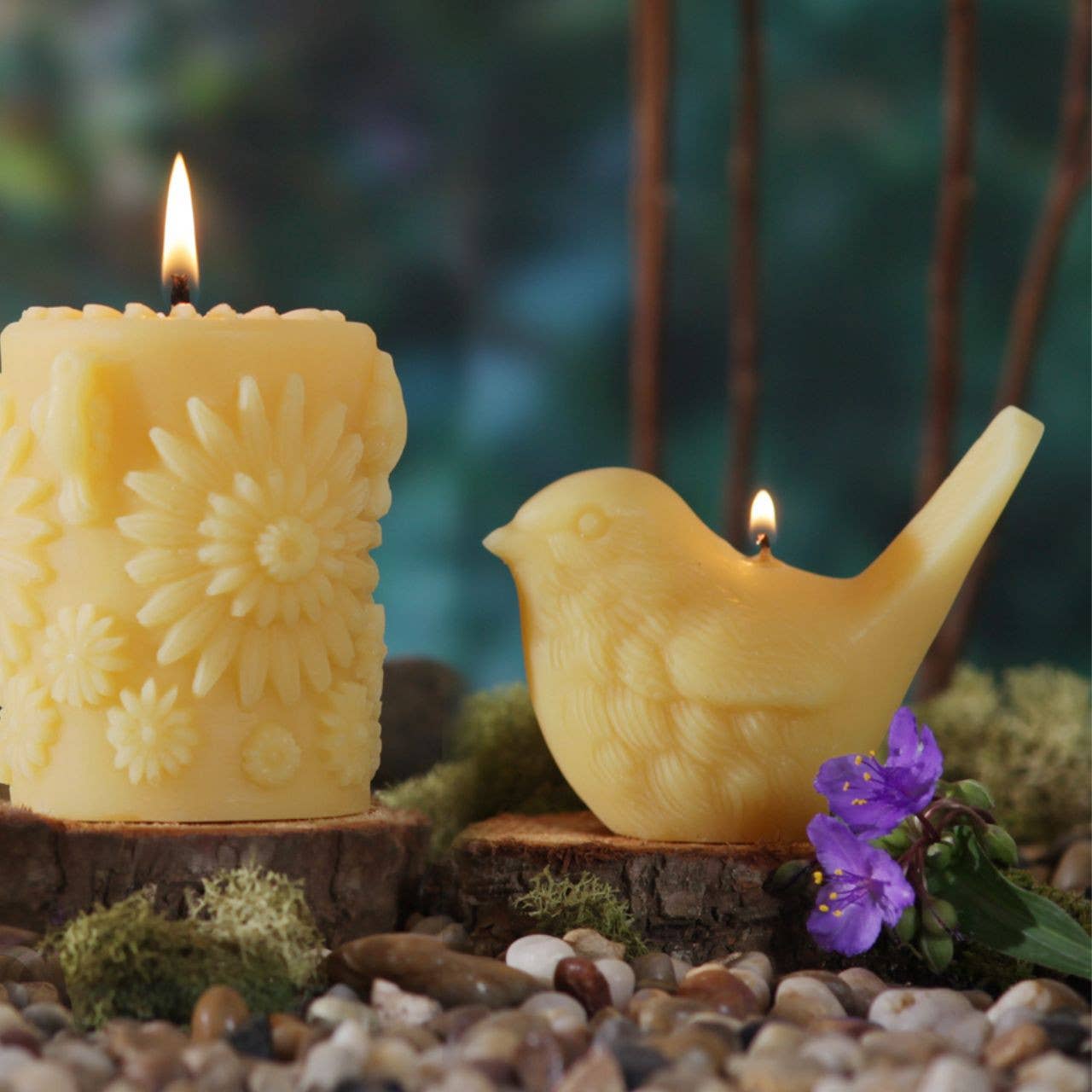 Beeswax Song Birds
