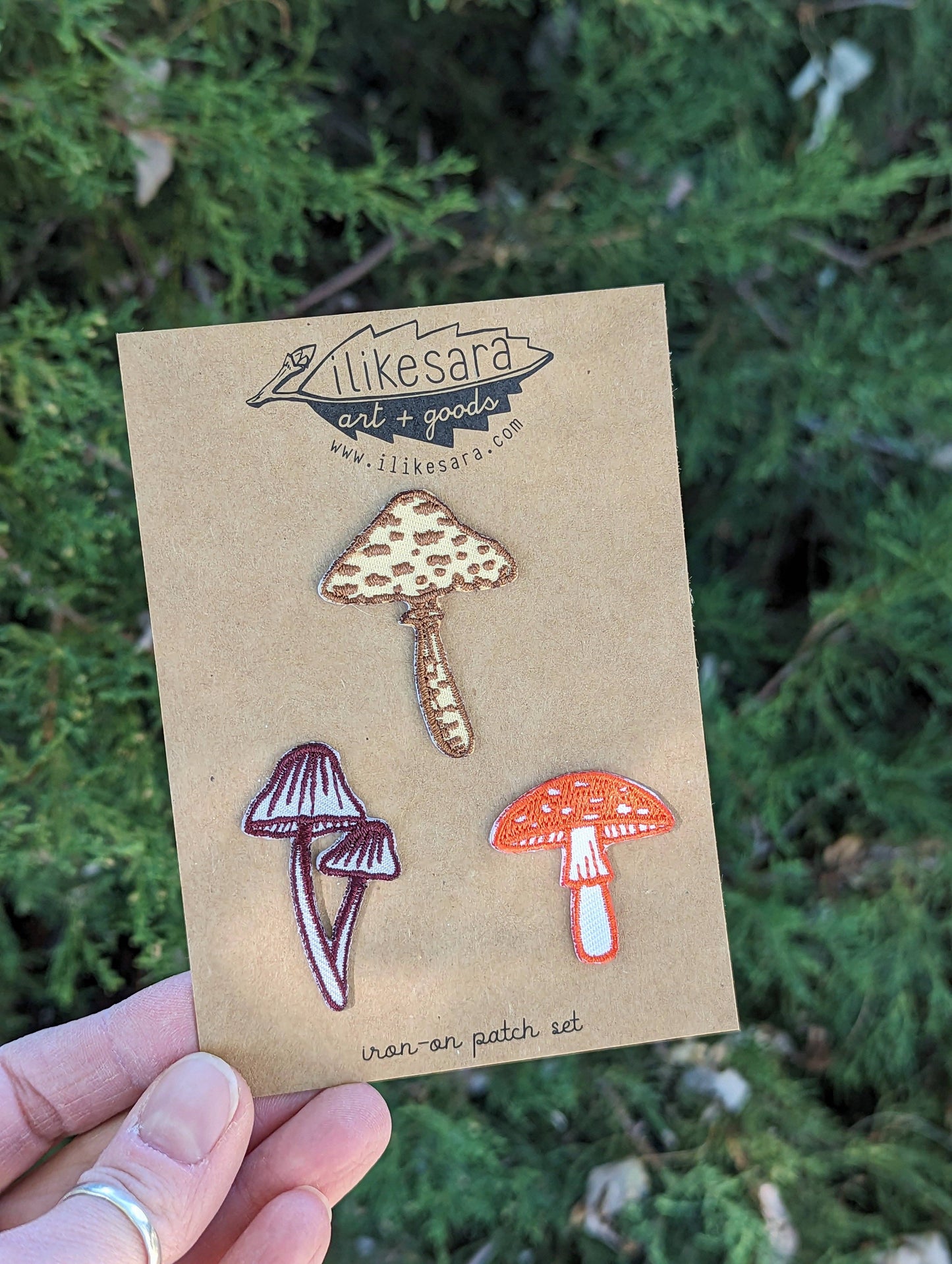 Mushroom Patches