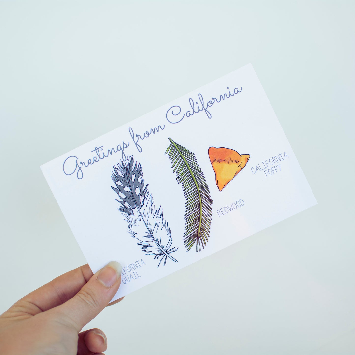 Nature Postcards