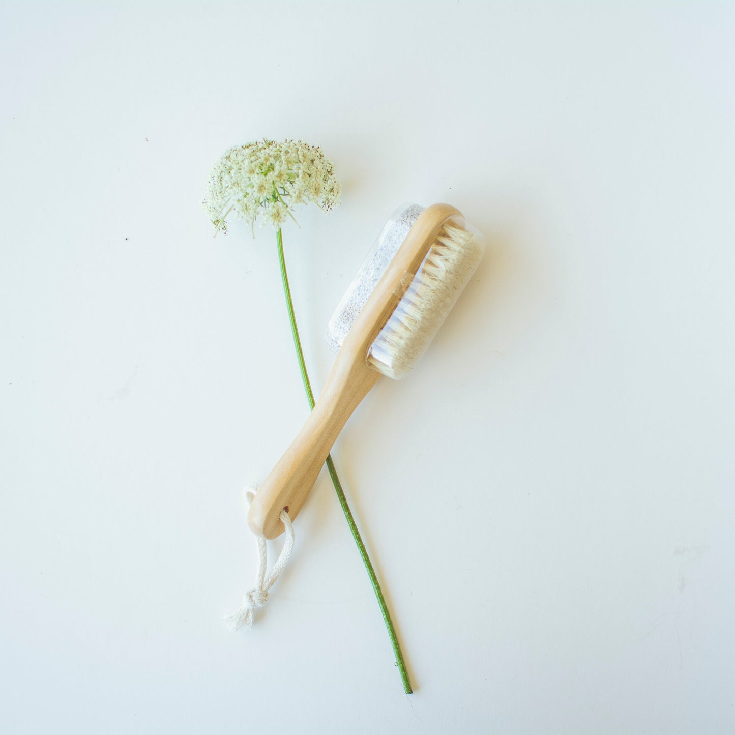 Wooden Pumice Brush