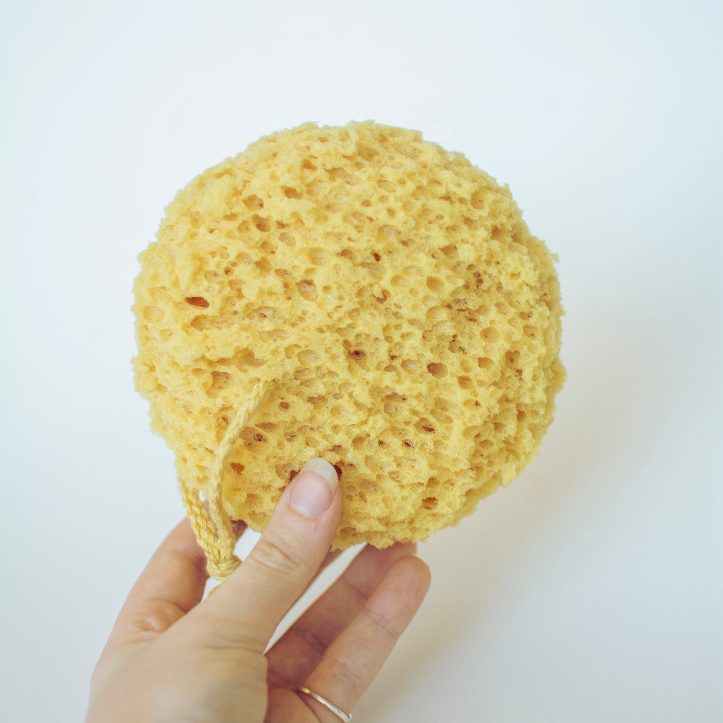 Foam Sea Sponge