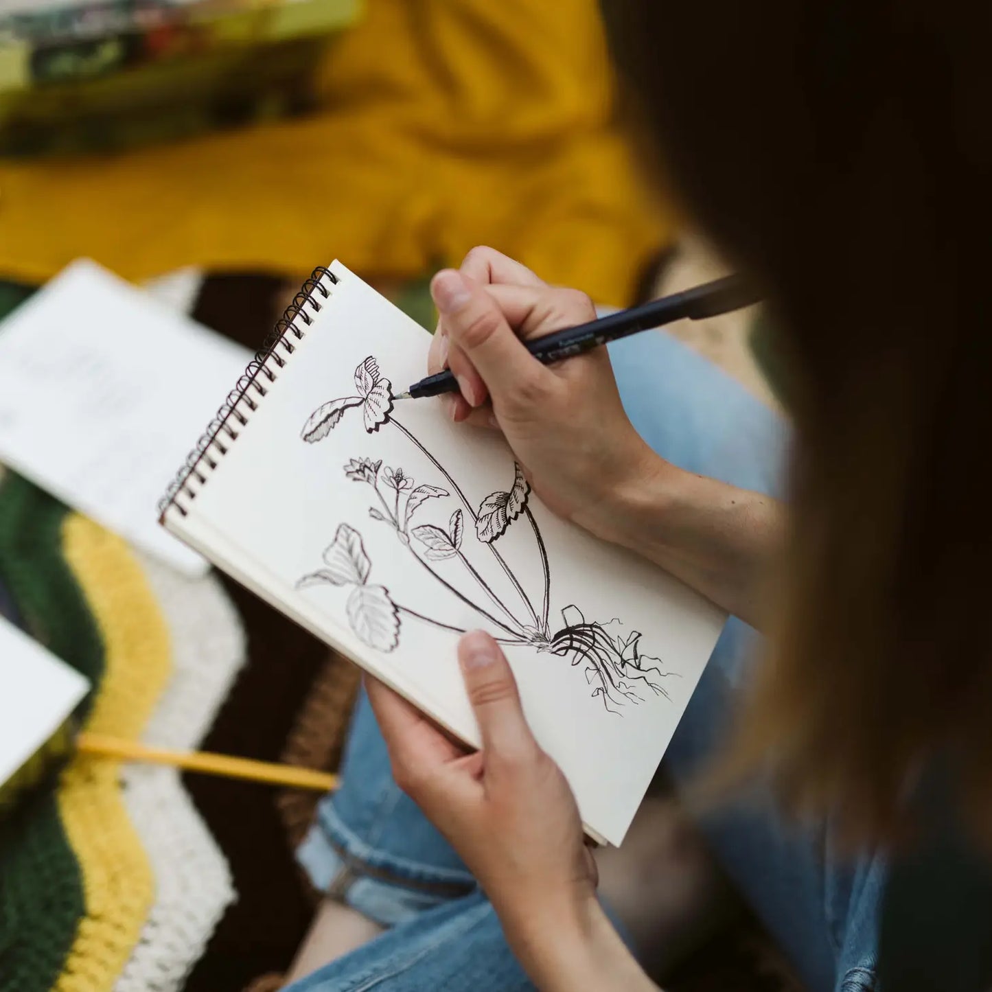 Beginner's Botanical Drawing Art Kit