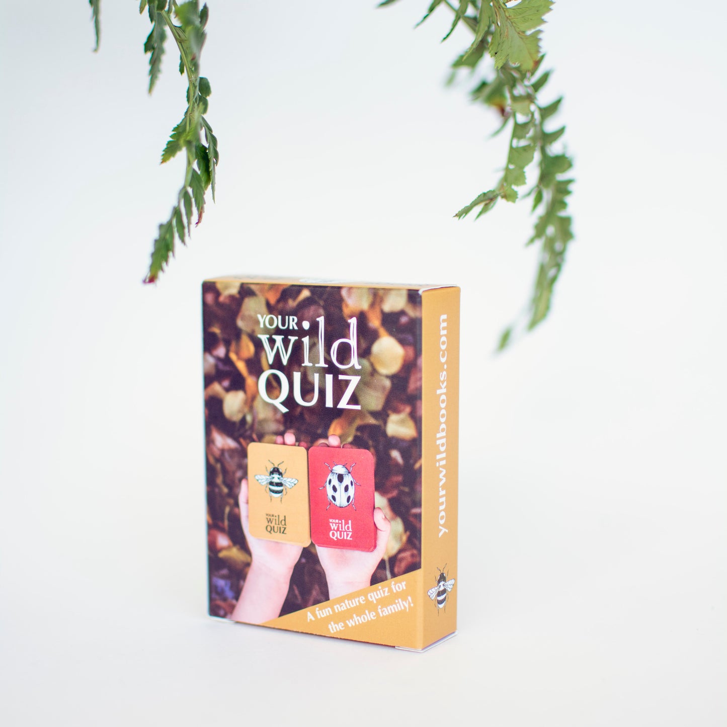 Your Wild Quiz Card Game