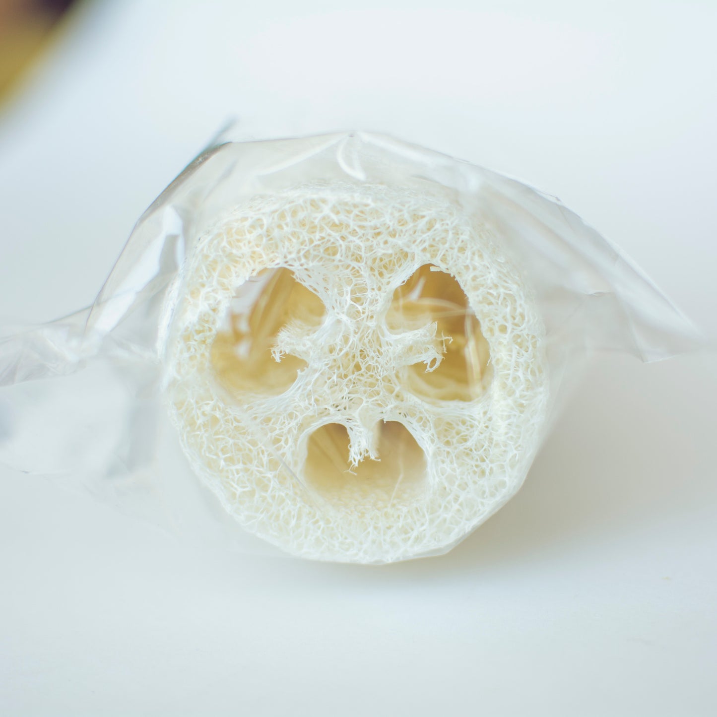 Long Handle Loofah