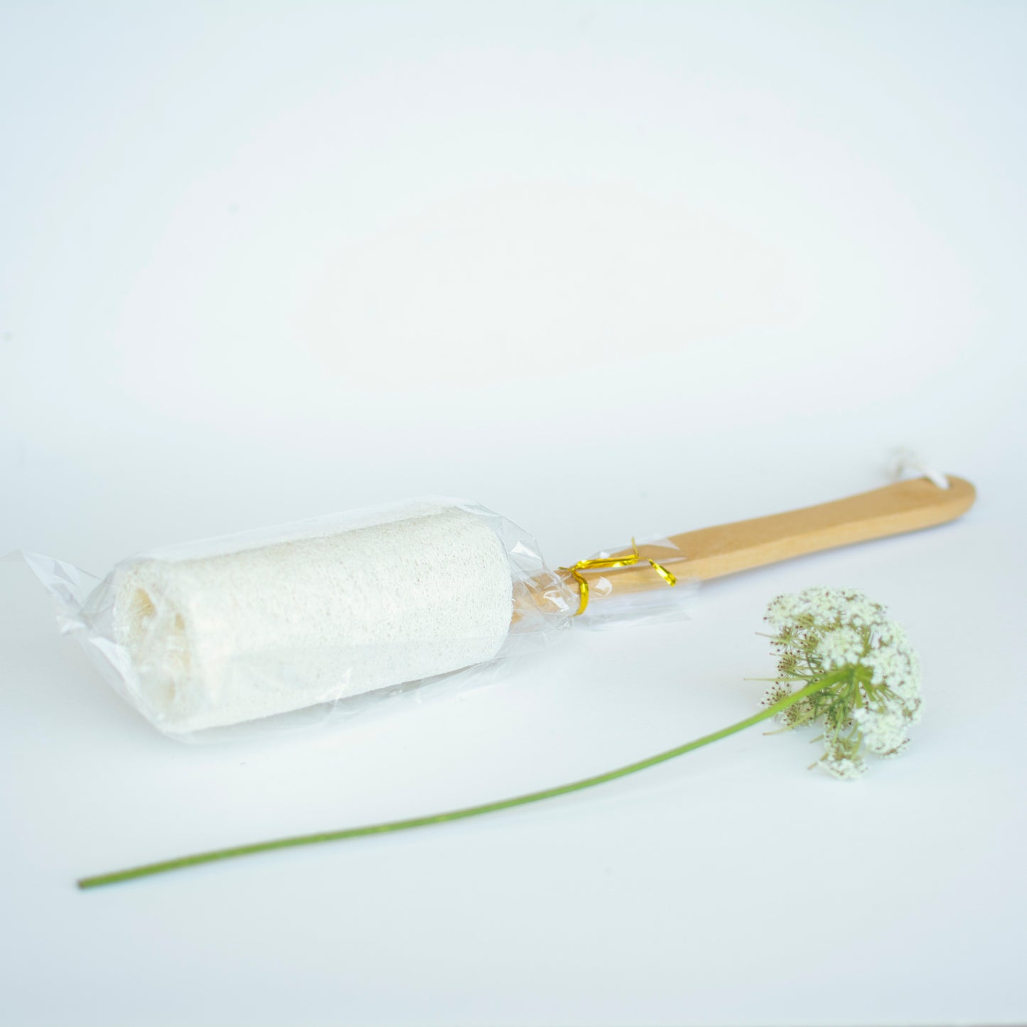 Long Handle Loofah