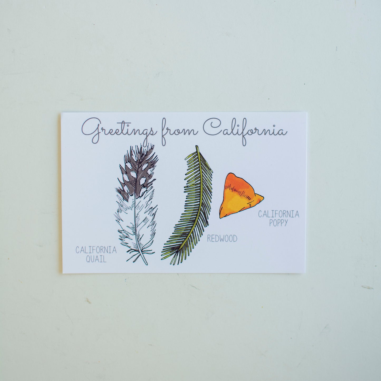 Nature Postcards