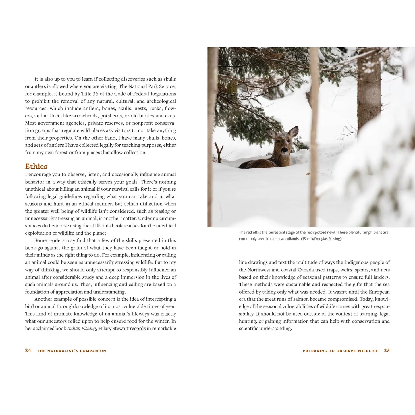 The Naturalist's Companion