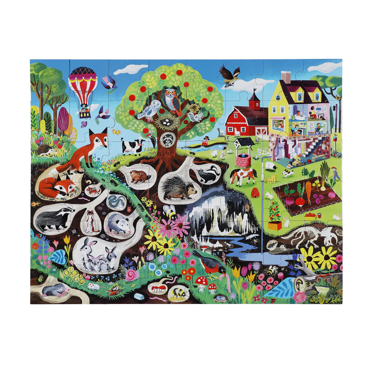 Within the Country Puzzle