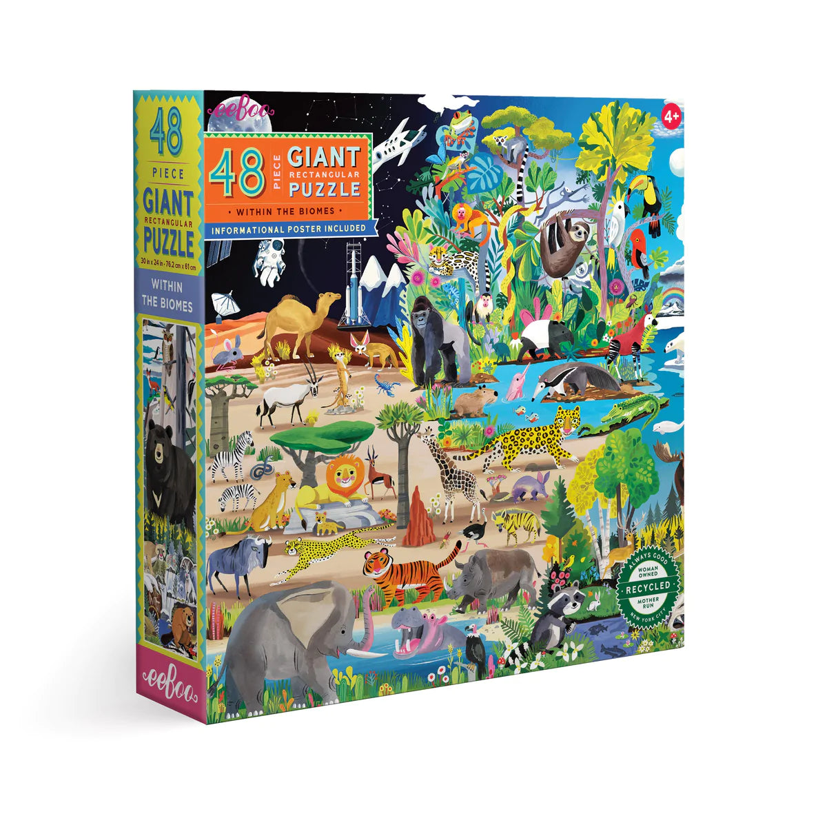 Within the Biomes Puzzle
