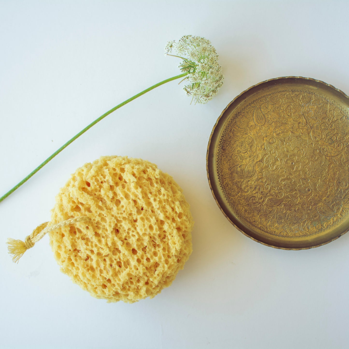 Foam Sea Sponge