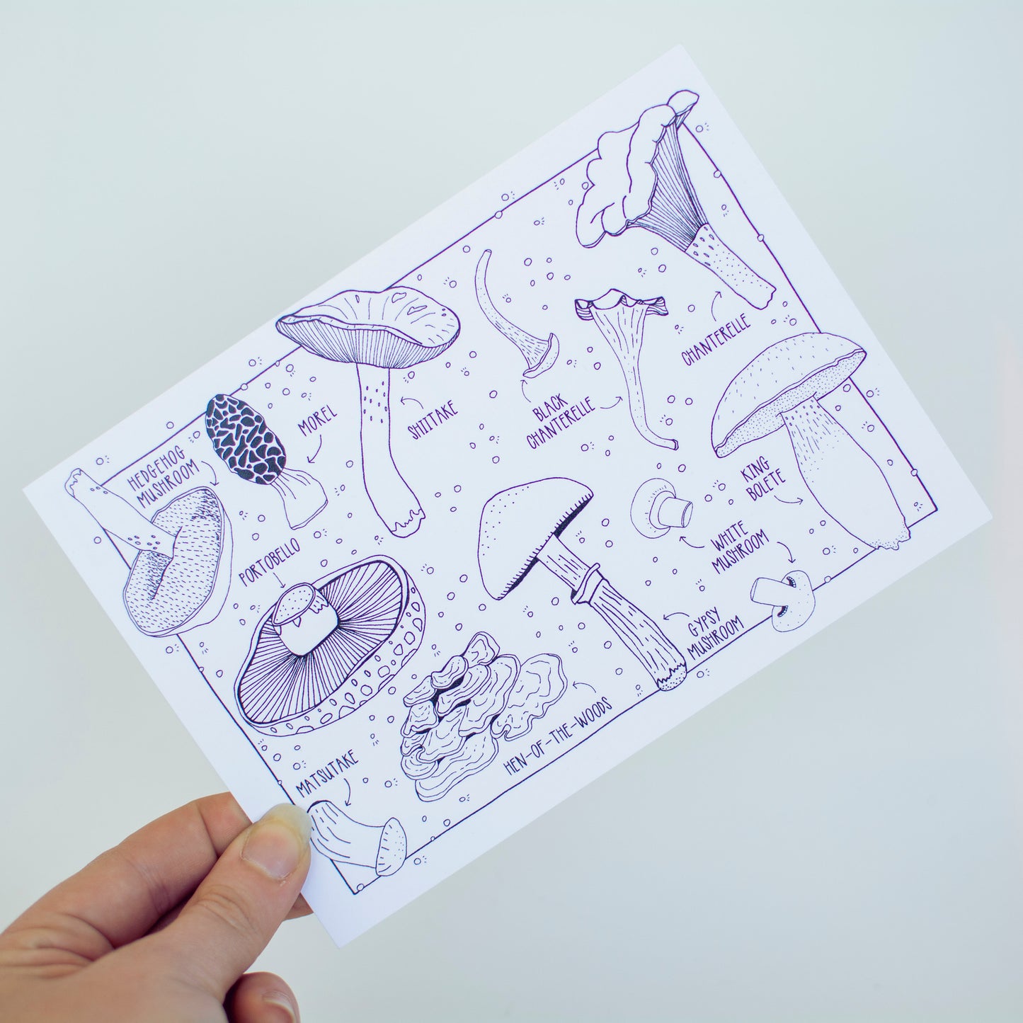 Nature Postcards