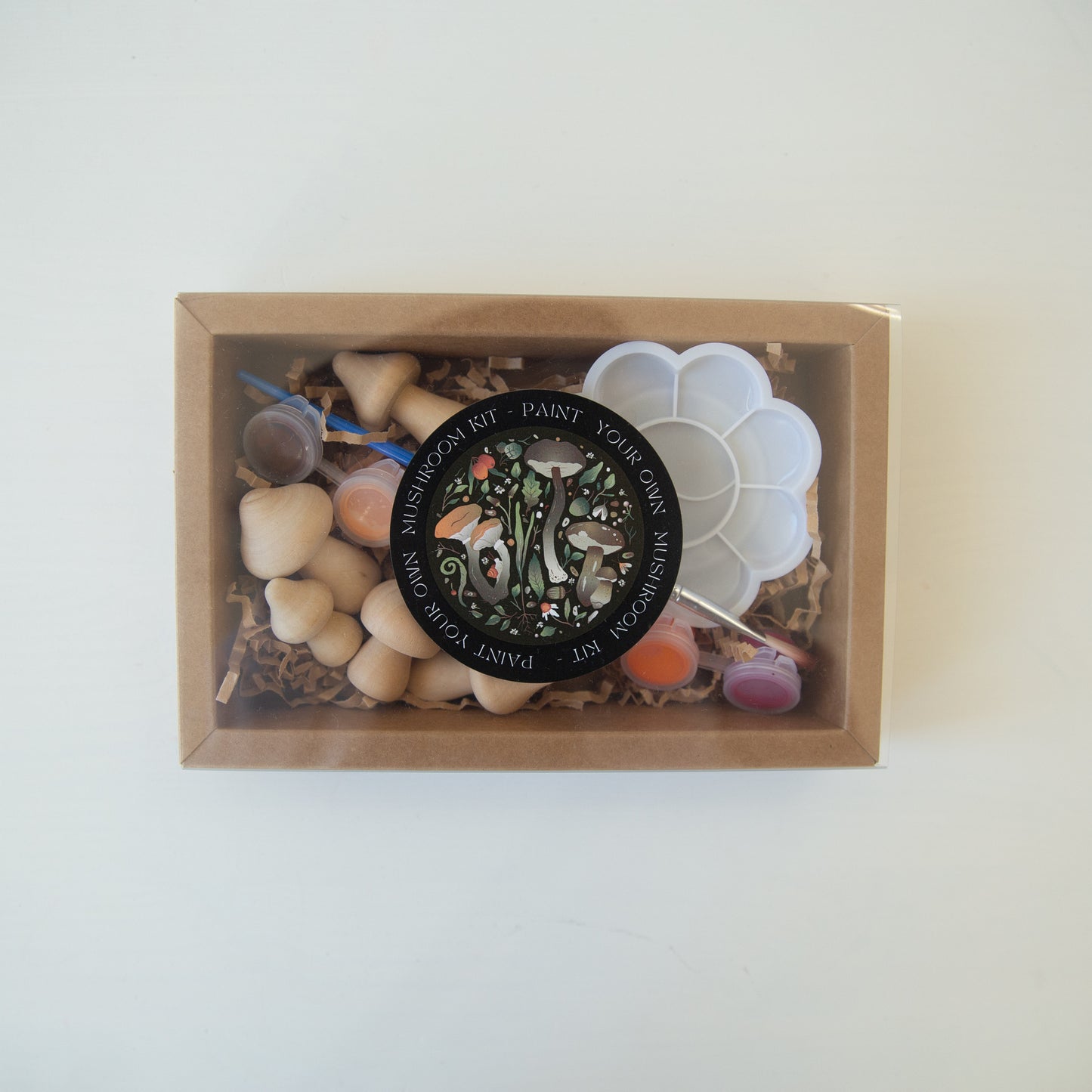 Paint Your Own Mushroom Kit