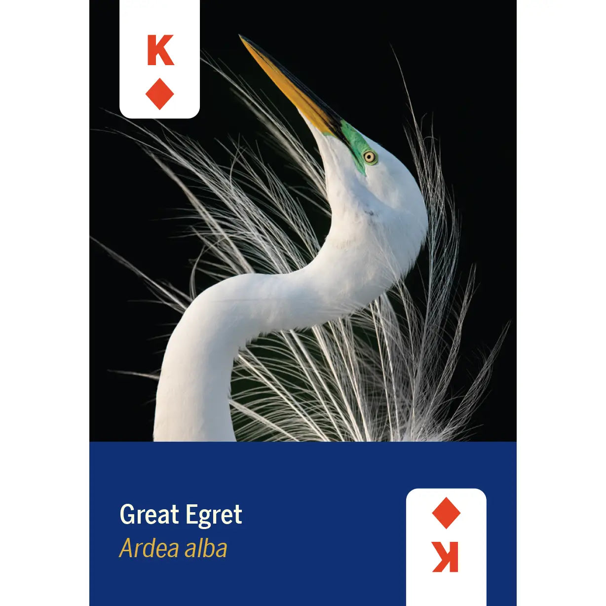 Birds of North America Playing Cards