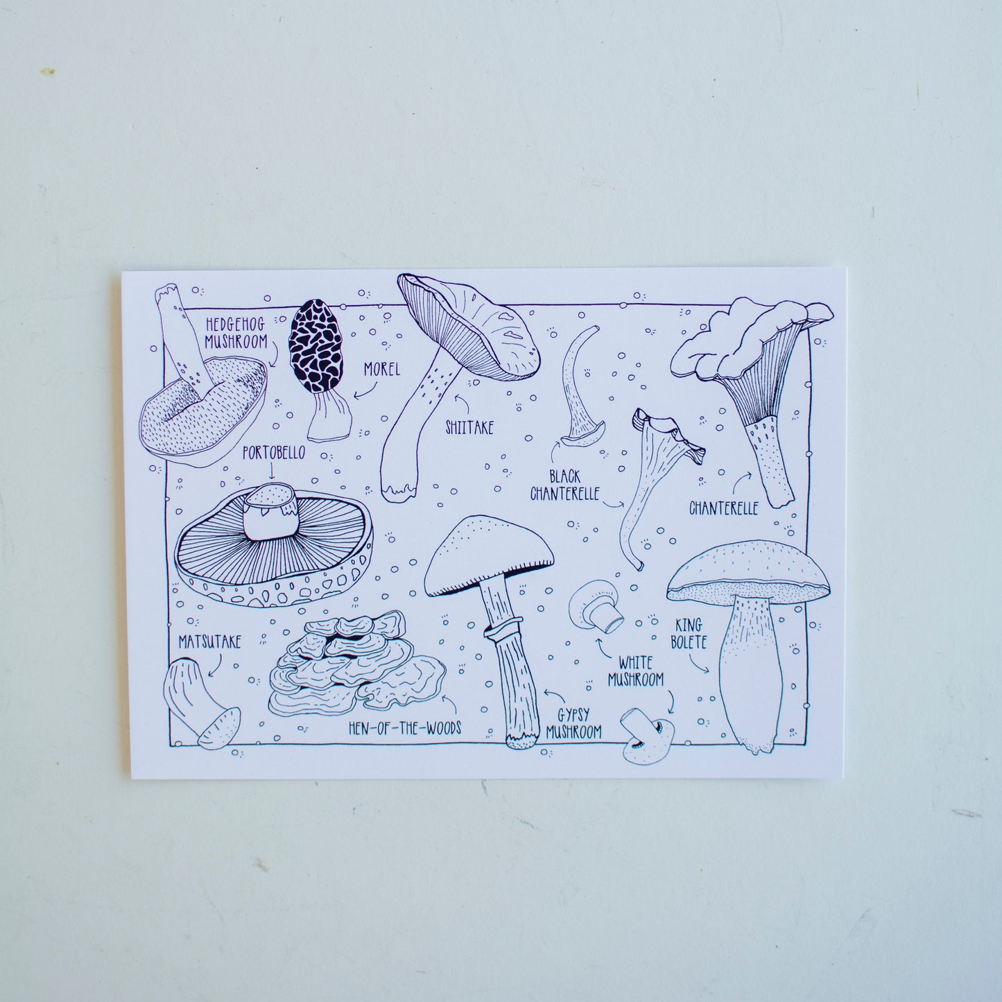 Nature Postcards