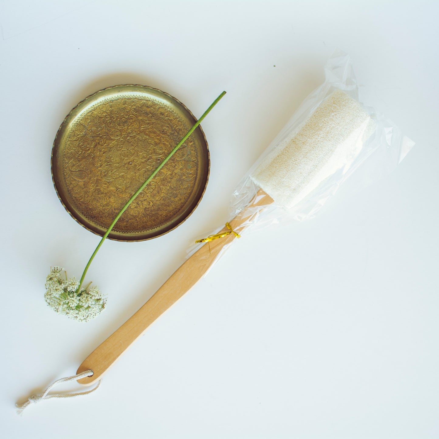 Long Handle Loofah