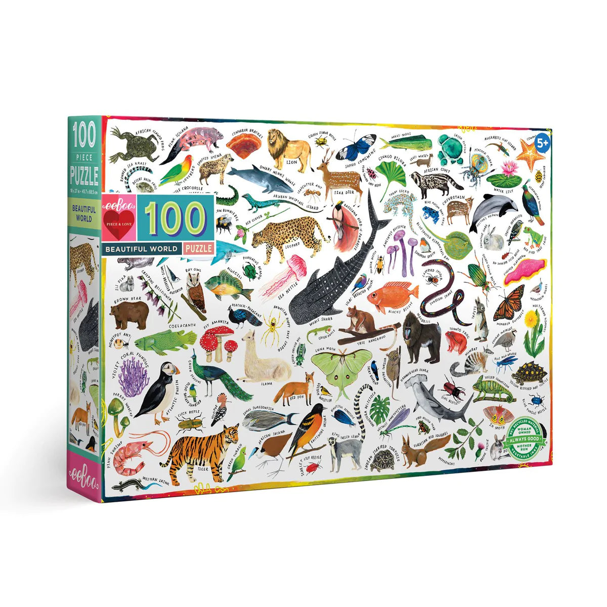 Beautiful World Puzzle
