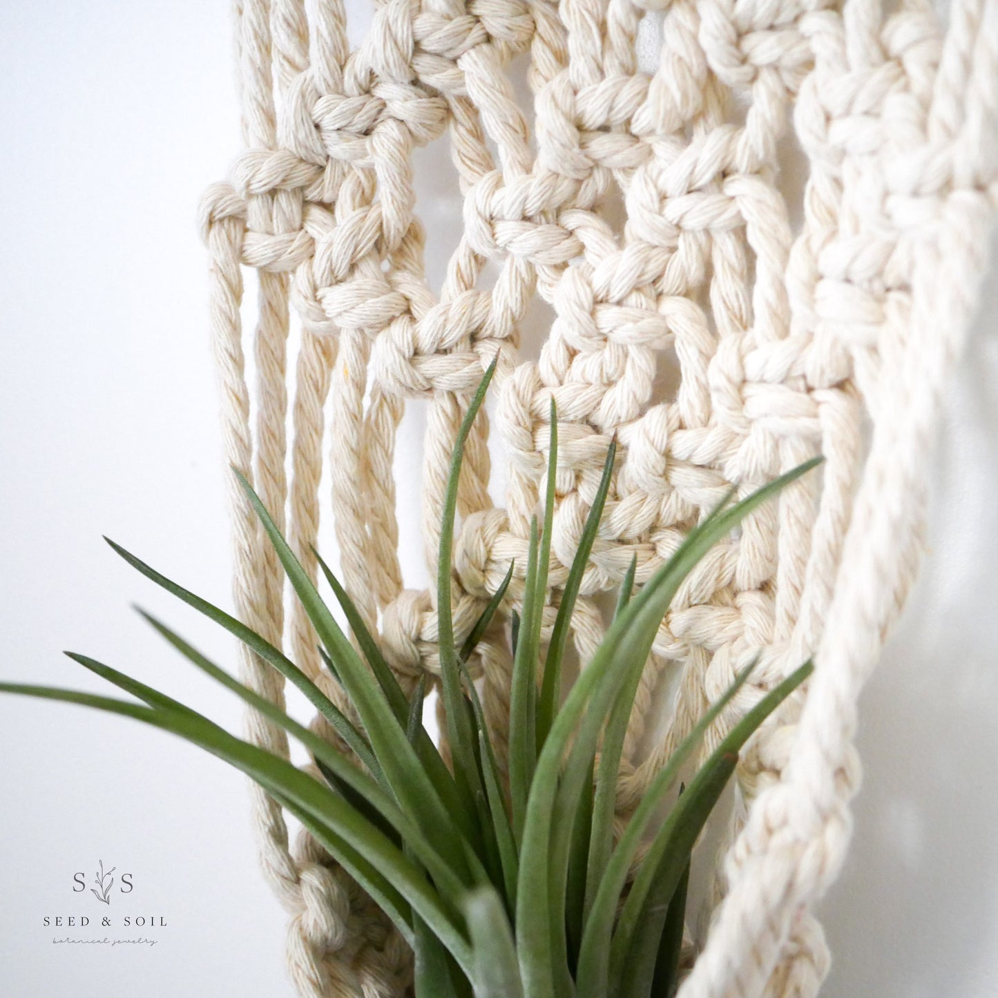 Private Group Class - Plant Macrame Class