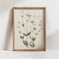 Be Still - Botanical Scripture Art Print