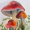 Watercolor Mushroom Class with Guest Instructor Mary Pivetti - Saturday, March 7th from 12-2pm