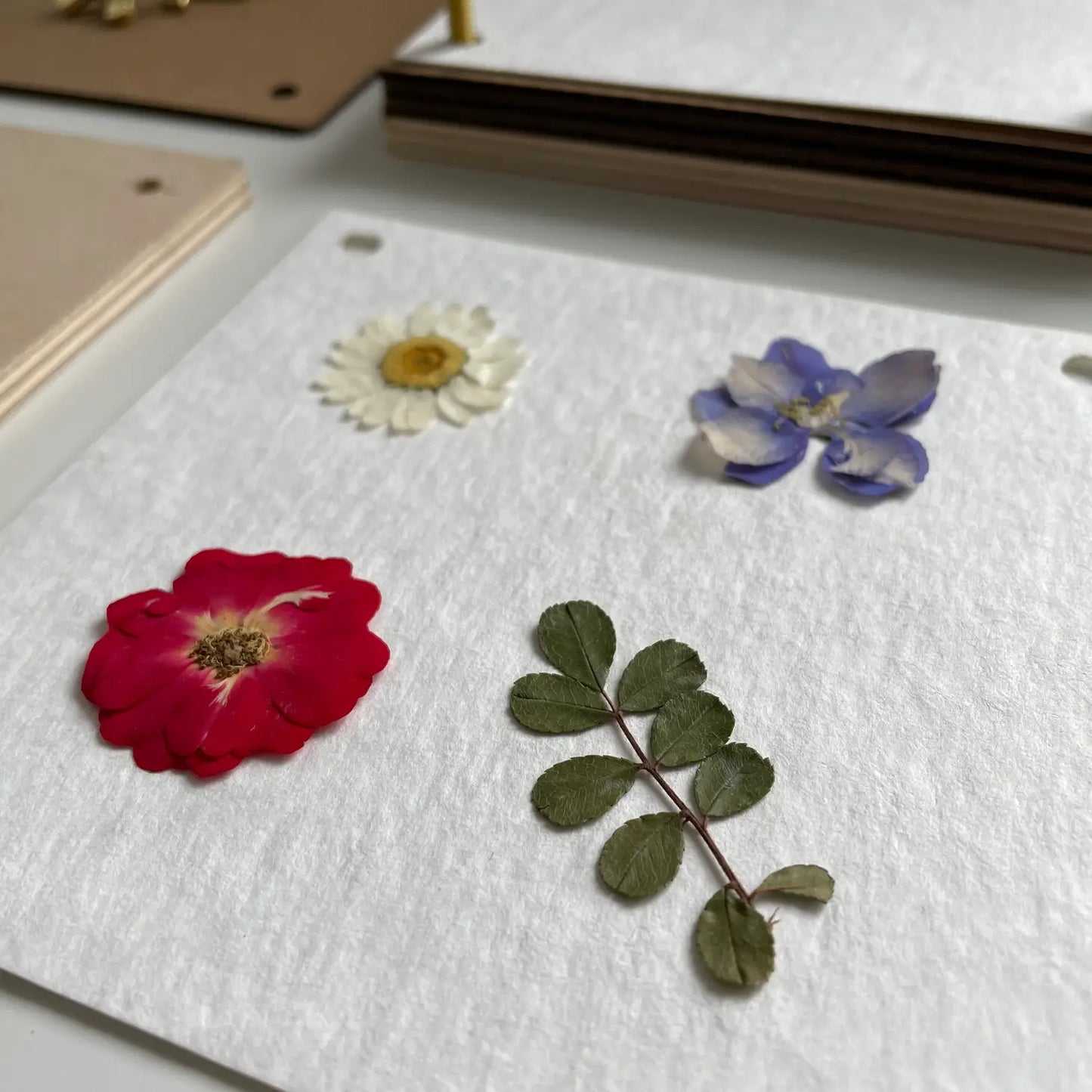 Square Flower Press Kit