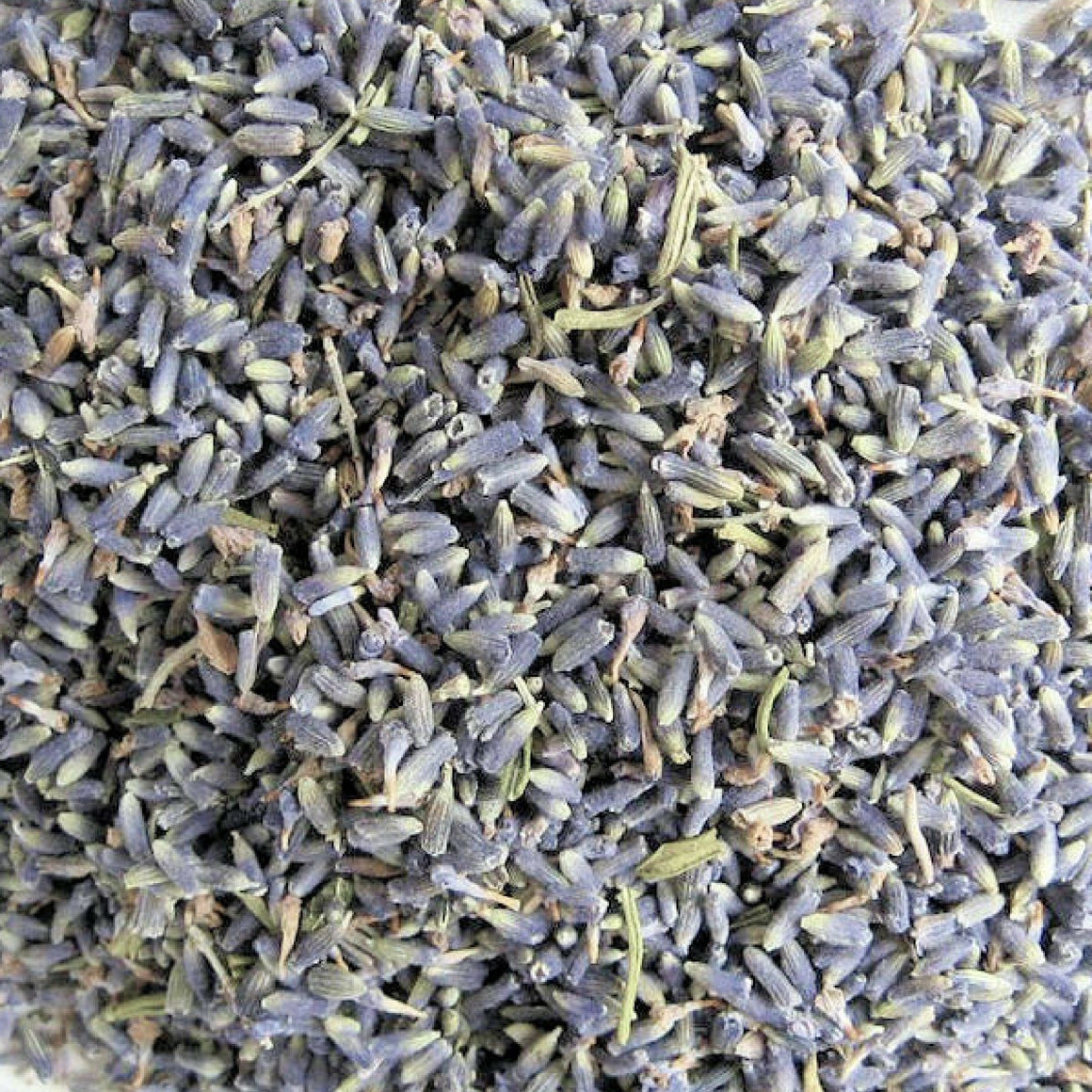 French Dried Lavender