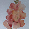 Watercolor Snapdragons Saturday, September 26th | 12:00 p.m. – 2:00 p.m.
