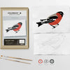 Bird Study |  Modern Paint By Numbers Kit