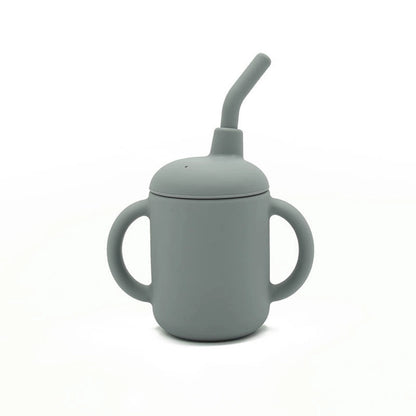 Sippy Cup with Handles
