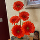 Flowers by YOU! - With Guest Insturctor Dana Feldman - Saturday, October 24th 12:00 pm - 2:00 pm