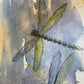 Watercolor Dragonfly Class with Guest Instructor Mary Pivetti - Saturday, June 20th from 12-2pm