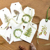 Watercolor Winter Greenery: Jumbo Gift Tags Class - Becky Duncan - Friday, December 11th 12:00-2:00pm