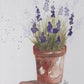 Watercolor Lavender Class with Guest Instructor Mary Pivetti - Saturday, July 18th from 12-2pm