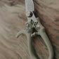 Professional Garden Shears