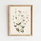 Be Still - Botanical Scripture Art Print