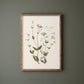 Be Still - Botanical Scripture Art Print