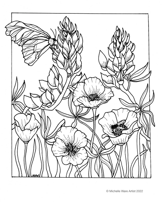 Summer Coloring Contest