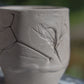 Garden Workshop - Saturday, June 28th 10:30-2:30