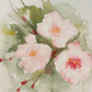 Watercolor Cherry Blossoms Class with Guest Instructor Mary Pivetti - Saturday, March 8th 12-2pm