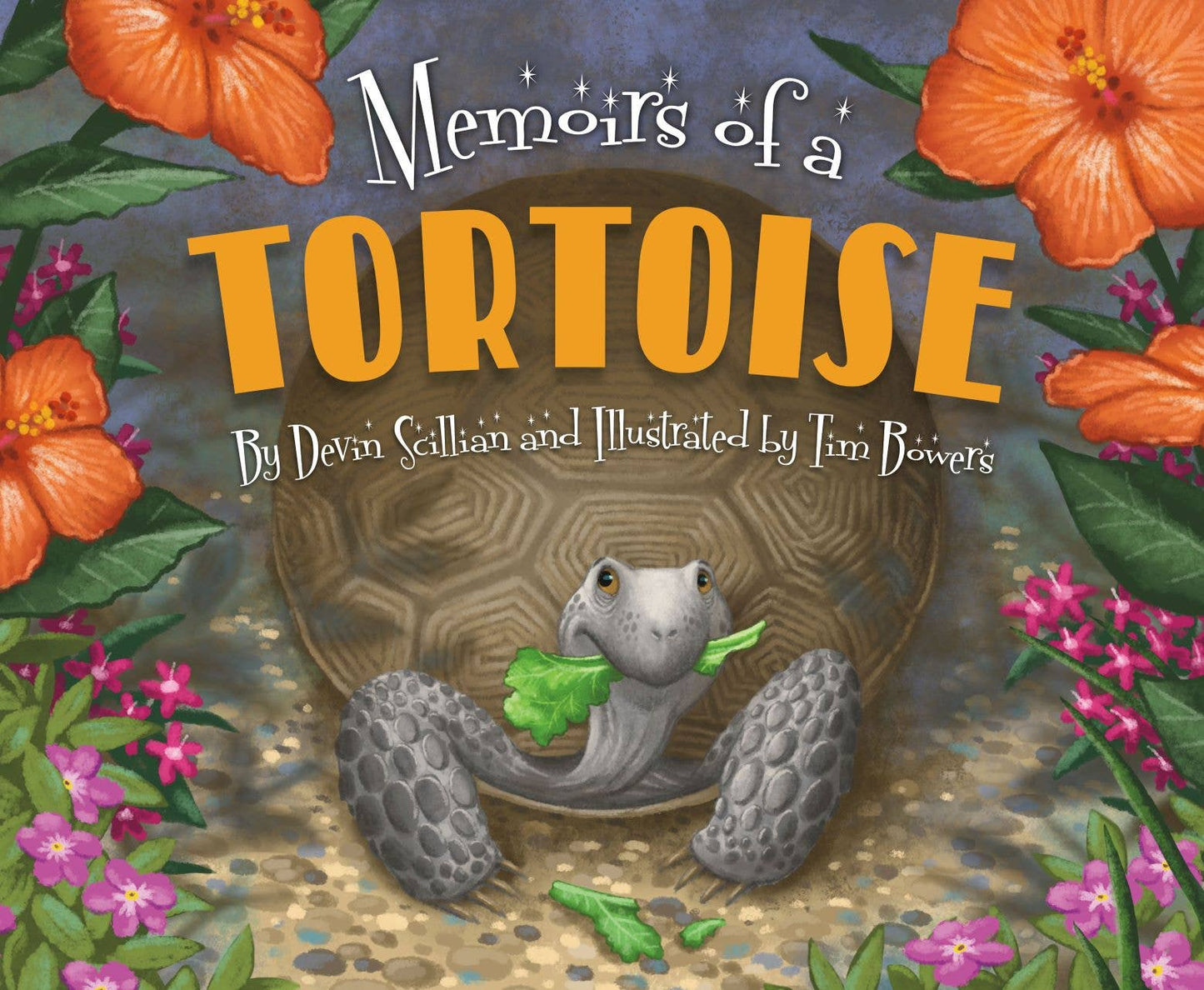 Memoirs of a Tortoise