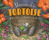 Memoirs of a Tortoise