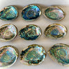 Abalone Shell Smudge Bowls