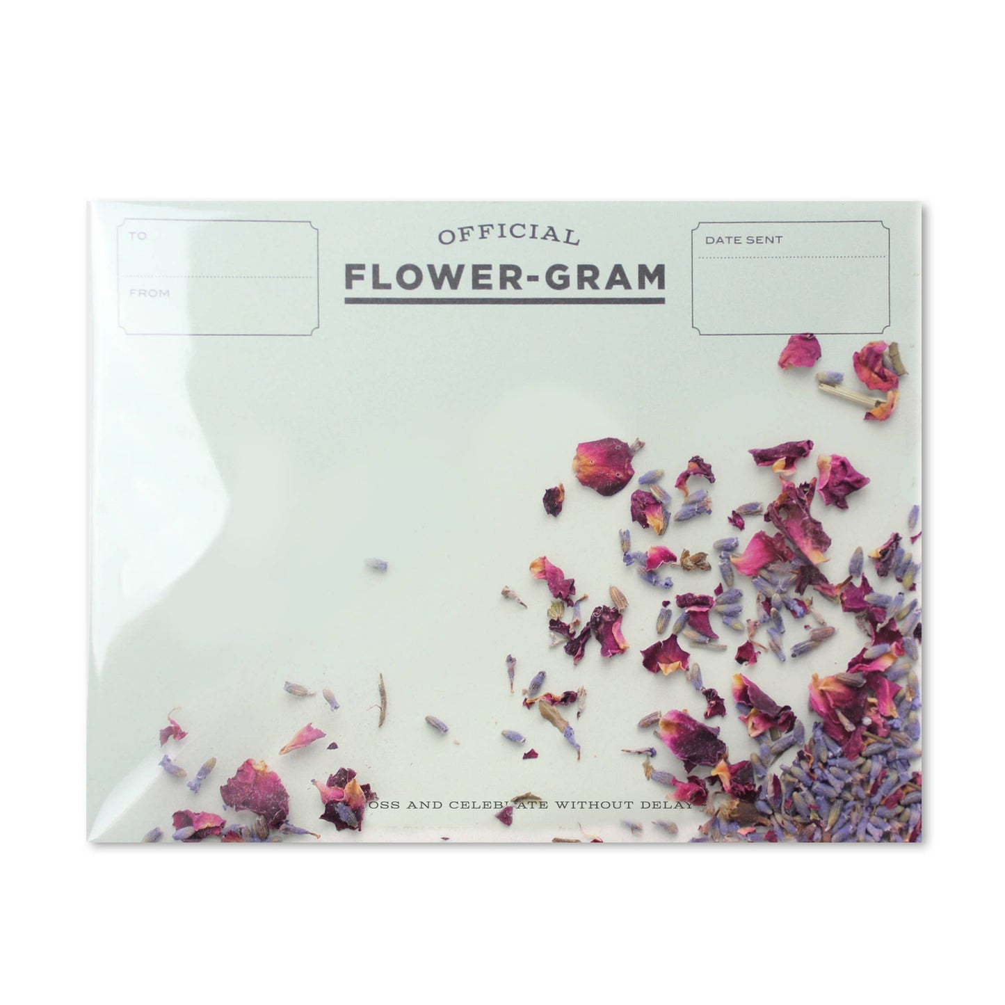 Flowergram - flower petal confetti cards