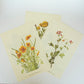 Vintage Botanical Prints