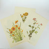 Vintage Botanical Prints