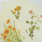 Vintage Botanical Prints