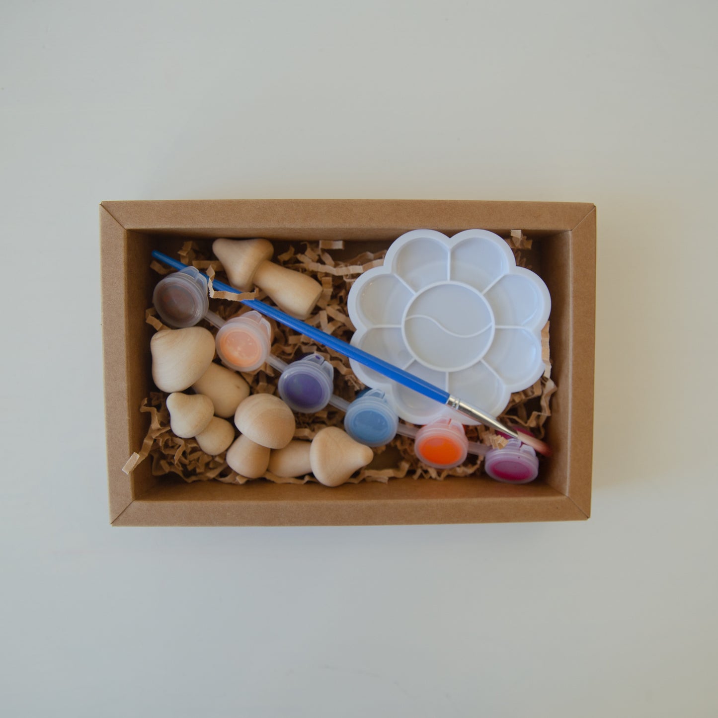 Paint Your Own Mushroom Kit